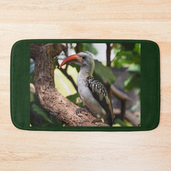 Item preview, African Hornbill  designed and sold by Tzarina-Tea.