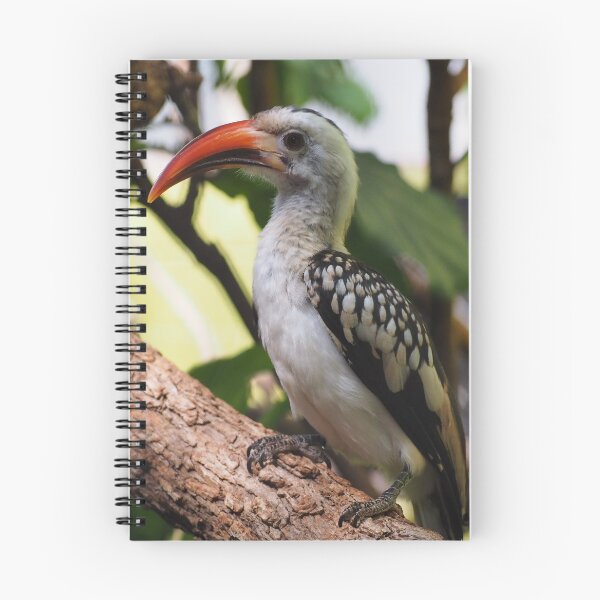 Item preview, African Hornbill  designed and sold by Tzarina-Tea.