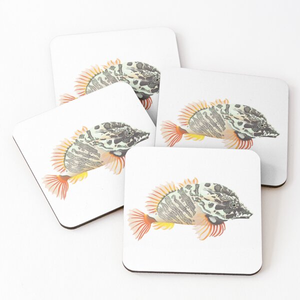 Item preview, Grunt Sculpin (Rhamphocottus richardsonii) designed and sold by SeaMonstress.