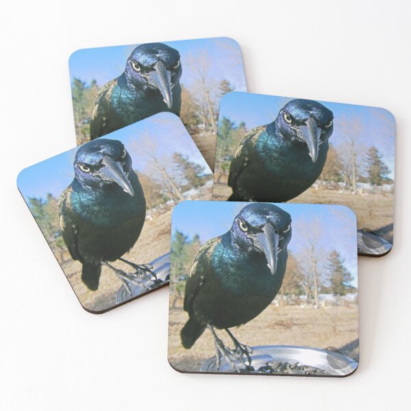 Item preview, Count Grackula designed and sold by Ostdrossel Shop.