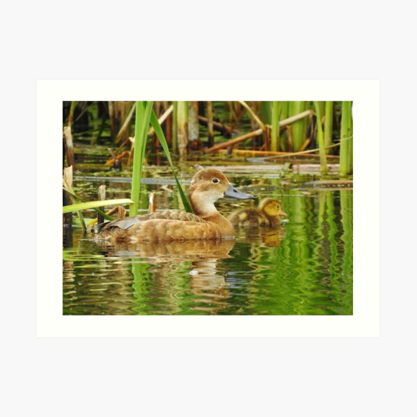 Proud Mom Art Print