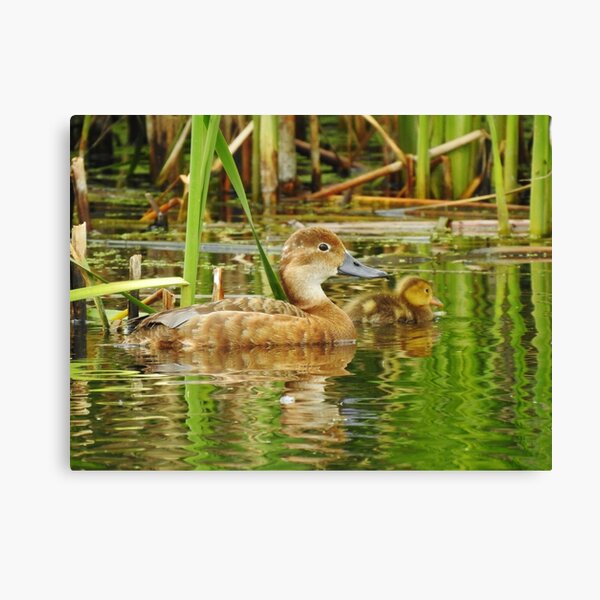 Proud Mom Canvas Print