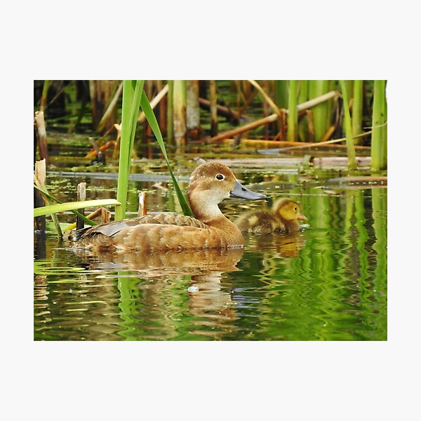 Proud Mom Photographic Print