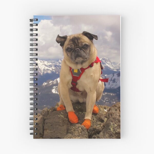 Item preview, Summit Success for Super Squishface Pug designed and sold by pugventurephoto.