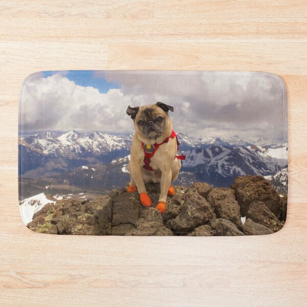 Item preview, Summit Success for Super Squishface Pug designed and sold by pugventurephoto.