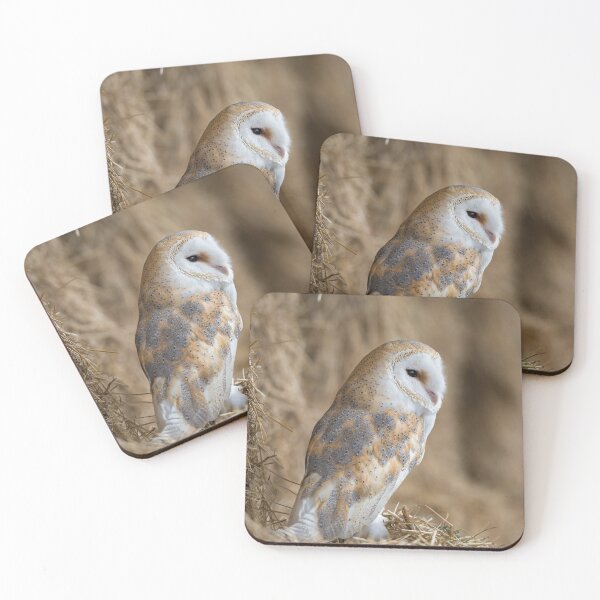 Item preview, Barn owl (Tyto alba) designed and sold by Steve Liptrot Photography.