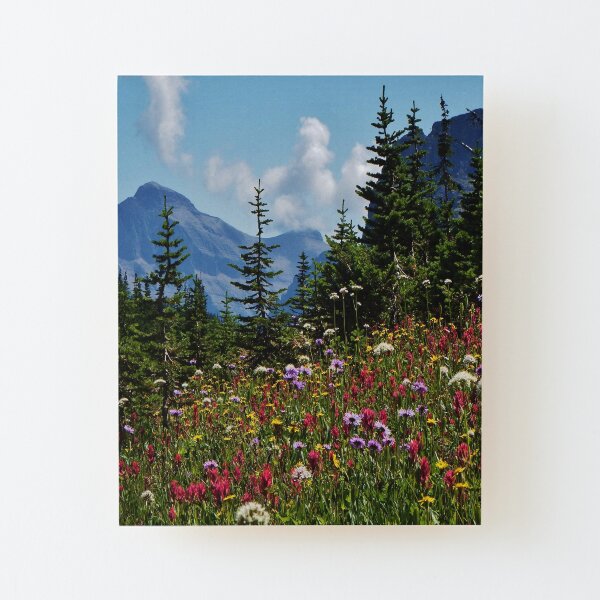 Mountain Wildflowers Wood Mounted Print