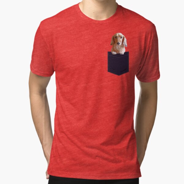 Long Hair Dachshund in Pocket Tri-blend T-Shirt