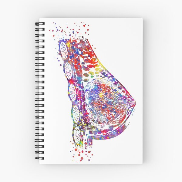 Item preview, Breast anatomy, mammary gland, watercolor breast designed and sold by Rosaliartbook.