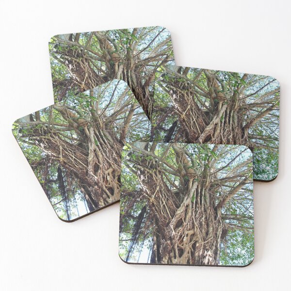 Item preview, A Banyan Interlaced designed and sold by Michiale.