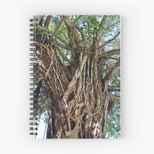 Item preview, A Banyan Interlaced designed and sold by Michiale.