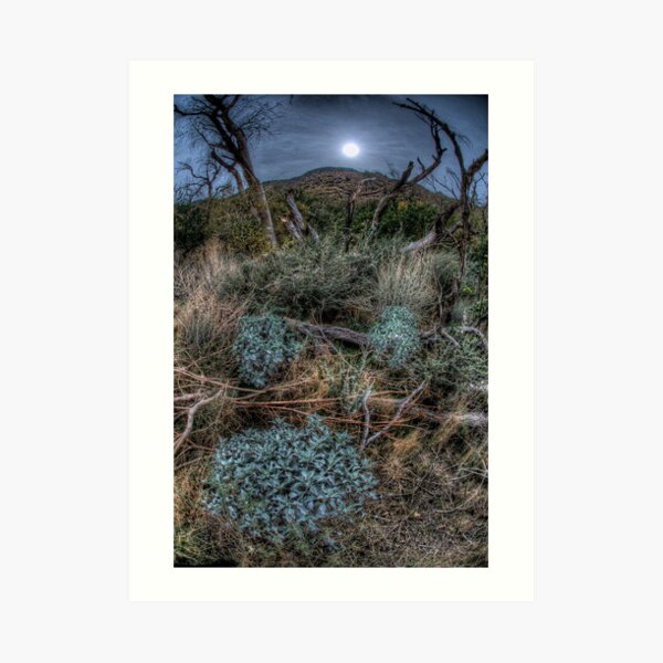 The Woods near Cabazon, CA Art Print