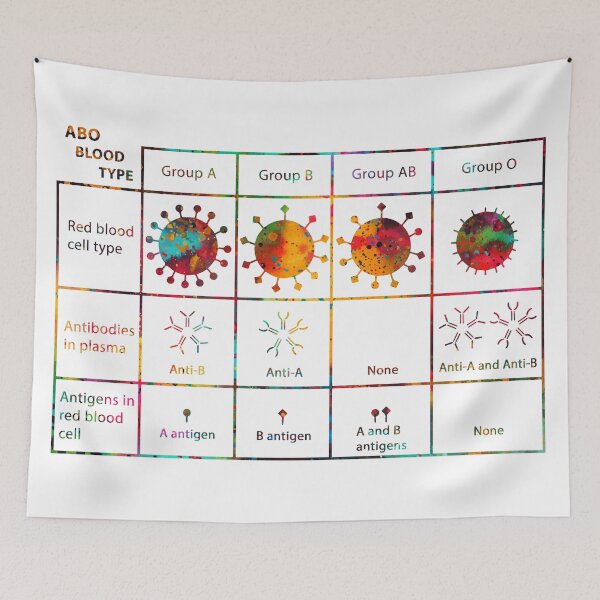Item preview, Human ABO Blood Type designed and sold by Liededrom..