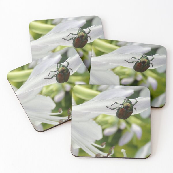 Item preview, Feeling Shiny Today designed and sold by Jing3011.