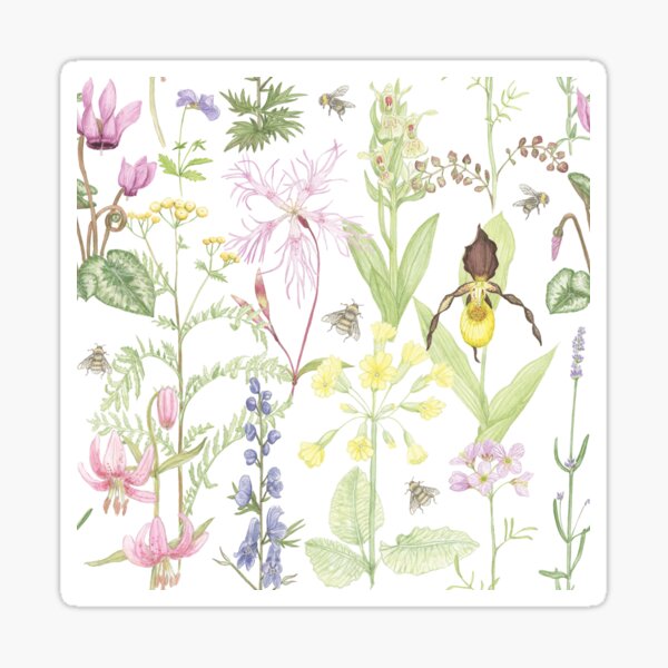 Wild flowers Sticker