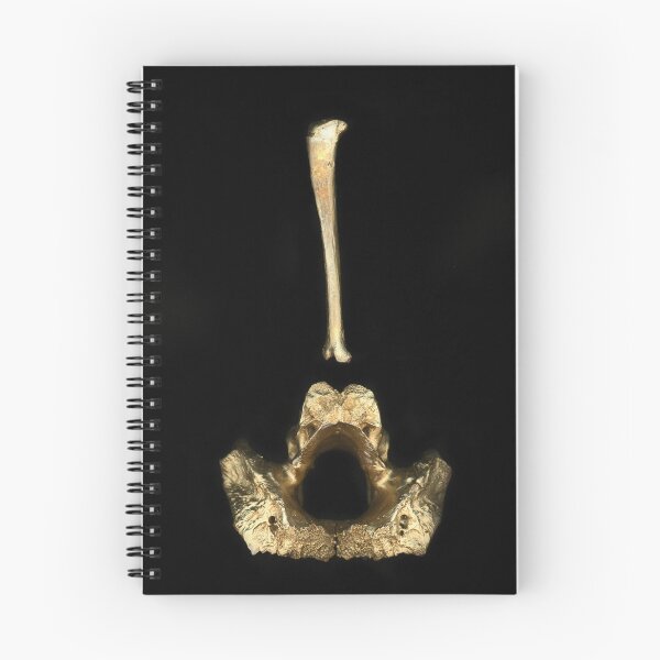 Item preview, Gold Bar designed and sold by Hanne Sharkey.
