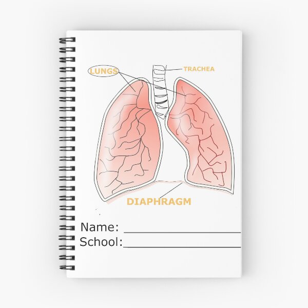 Item preview, My Body is Special-Lungs-Trachea-Diaphragm designed and sold by scharmin.