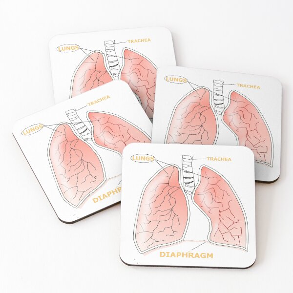 Item preview, My Body is Special-Lungs-Trachea-Diaphragm designed and sold by scharmin.