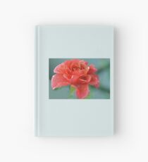 Rain Filled Rose......Lyme Dorset UK Hardcover Journal