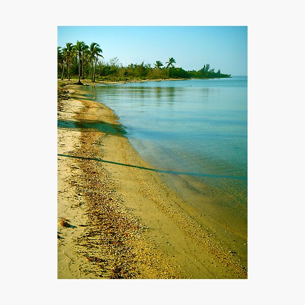 Just Another Day in Paradise Photographic Print