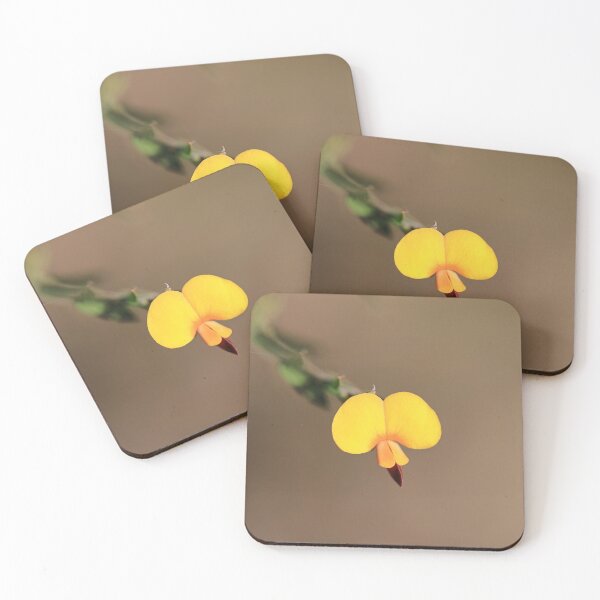 Item preview, Bossiaea heterophylla - Variable bossiaea designed and sold by ausnative.