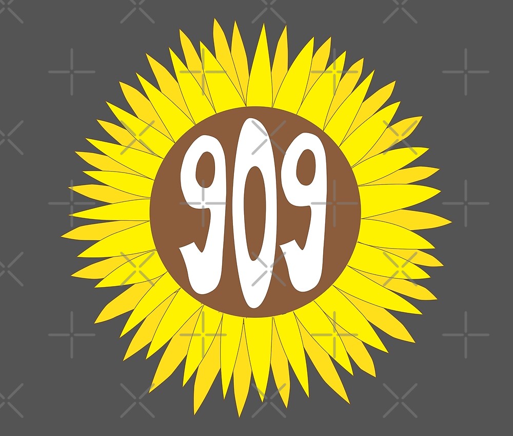 909 zip codes 909 zip codes