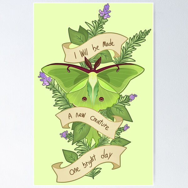 Item preview, white cedar designed and sold by Forest Larkspur.