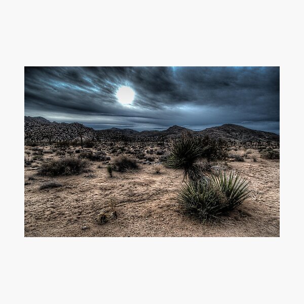 Joshua Tree National Park Sunset Photographic Print