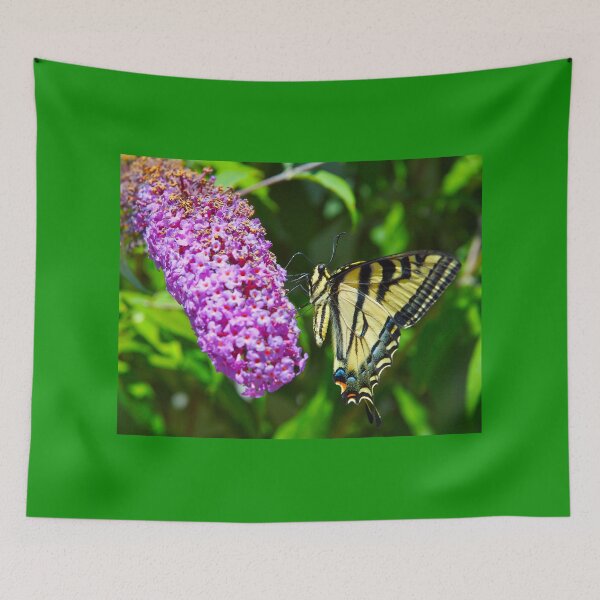 Item preview, Swallowtail Butterfly Feeding designed and sold by travelwitheric.