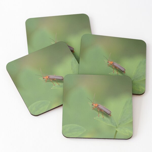 Item preview, Beetle on a leaf designed and sold by Mike Cicero.