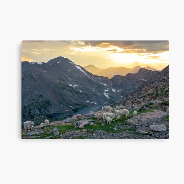 Evening view in the mountains Canvas Print