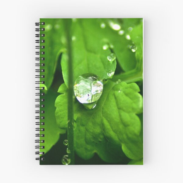 Artikelvorschau, Wassertropfen entworfen und verkauft von David Michael Booth.