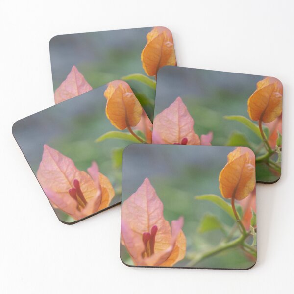 Item preview, Bougainvillea apricot flower. designed and sold by ginnymac.