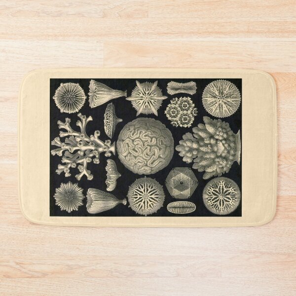 Item preview, Plate 09 Hexacoralla: a subclass of corals containing about 4,300 species.  designed and sold by Squirrox.