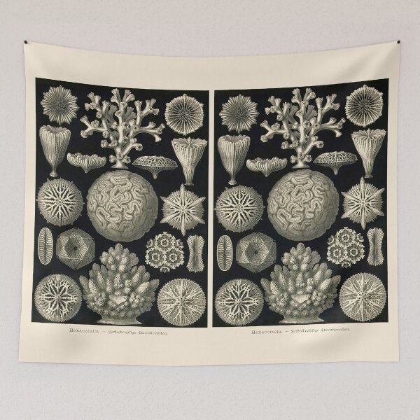 Item preview, Plate 09 Hexacoralla: a subclass of corals containing about 4,300 species.  designed and sold by Squirrox.
