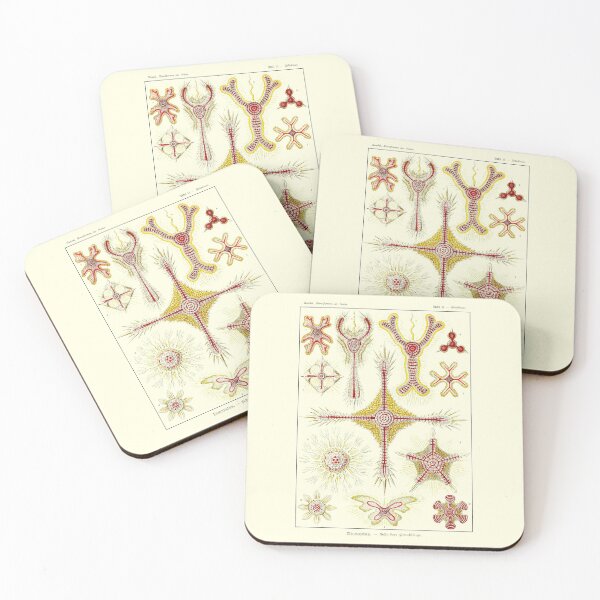 Item preview, Plate 11. Discoidea, protozoans that produce intricate mineral skeletons.  designed and sold by Squirrox.