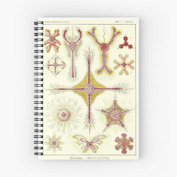 Item preview, Plate 11. Discoidea, protozoans that produce intricate mineral skeletons.  designed and sold by Squirrox.