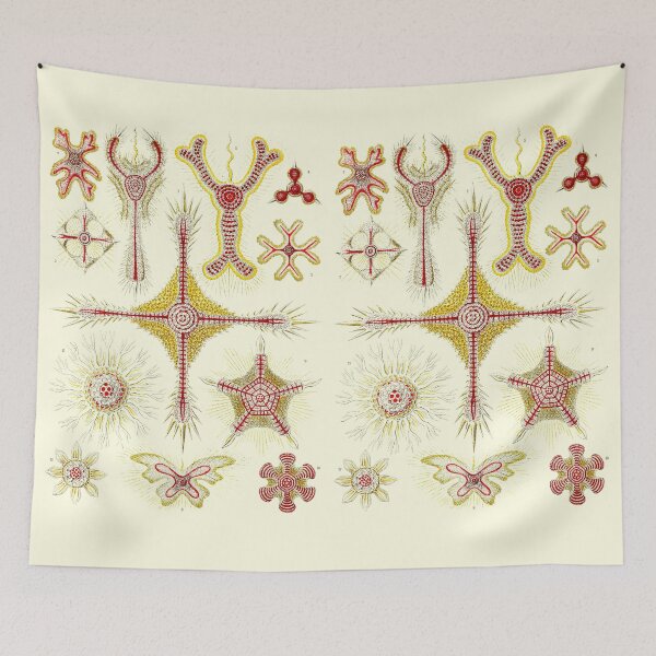 Item preview, Plate 11. Discoidea, protozoans that produce intricate mineral skeletons.  designed and sold by Squirrox.