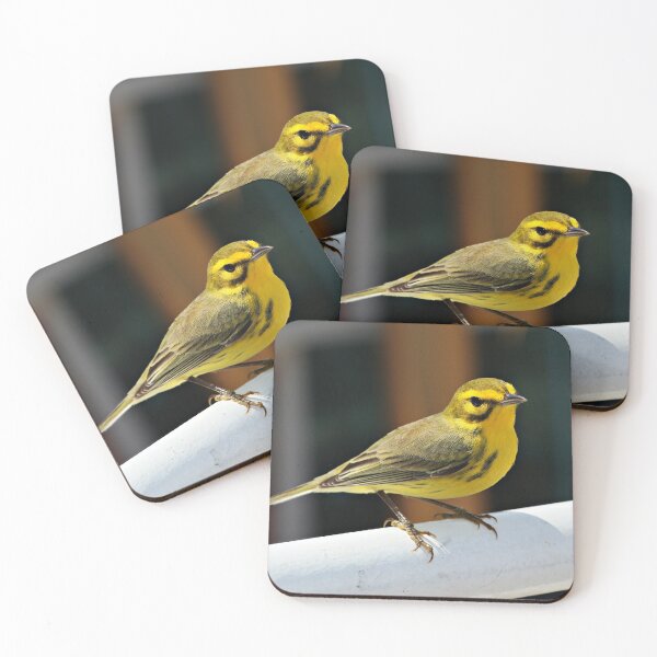 Item preview, Male Prairie Warbler (Dendroica discolor) designed and sold by Yannik Hay.