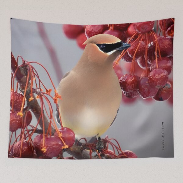 Item preview, Second Cedar Waxwing designed and sold by Yannik Hay.