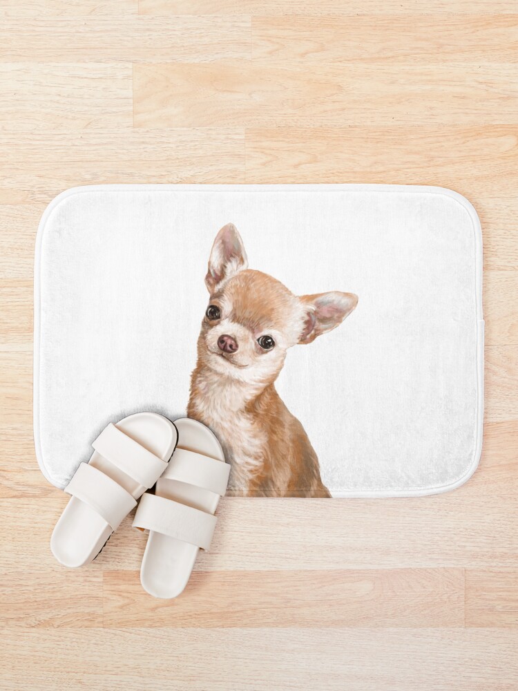 chihuahua bath