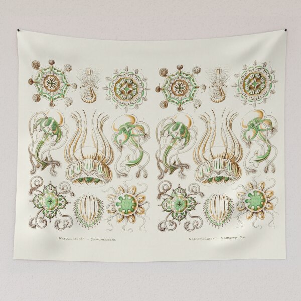 Item preview, Plate 16. Narcomedusae, an order of jellyfish. designed and sold by Squirrox.