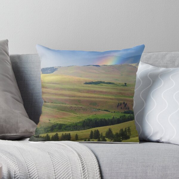 Storm on Irvine Flats Throw Pillow