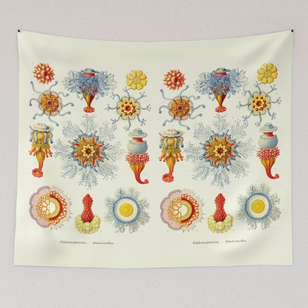Item preview, Plate 17. Siphonophores, colonial marine invertebrates that can superficially resemble jellyfish designed and sold by Squirrox.