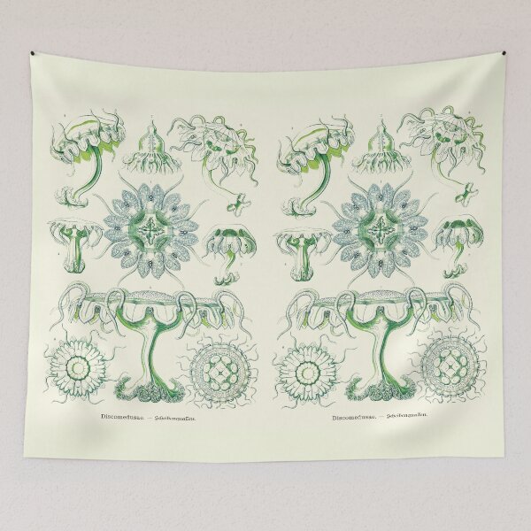 Item preview, Plate 18. Discomedusae, group of disc-shaped jellyfish. designed and sold by Squirrox.