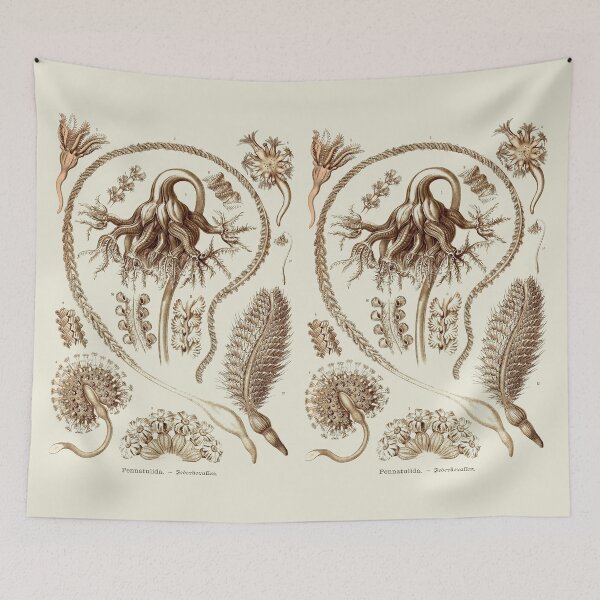 Item preview, Plate 19. Sea Pens, long slender colonial organisms related to jellyfish. designed and sold by Squirrox.