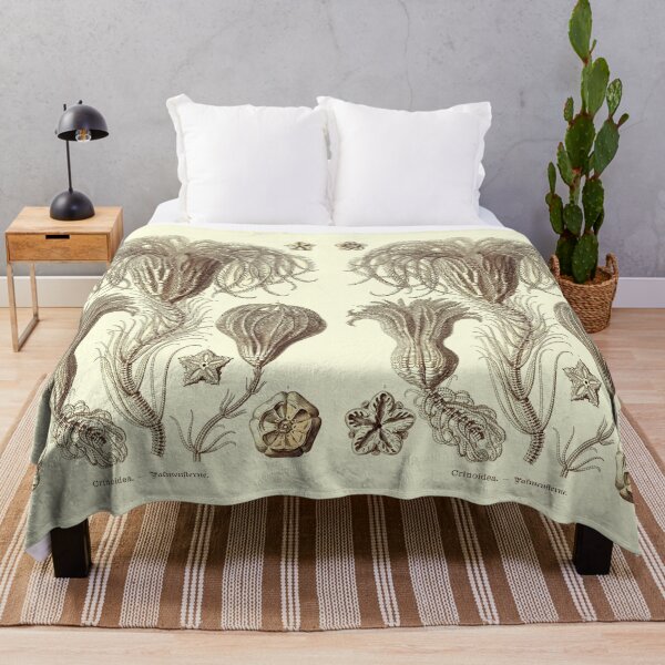 Item preview, Plate 20. Crinoids, marine animals also known as sea lilies or feather-stars. designed and sold by Squirrox.