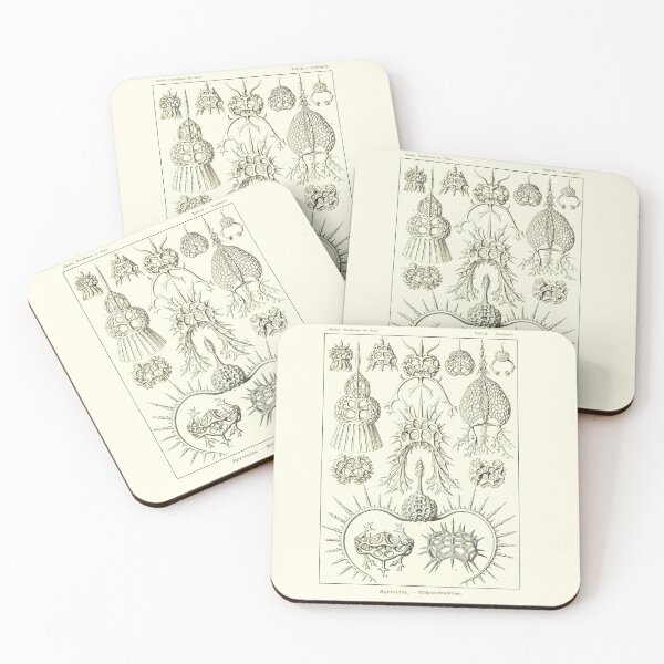 Item preview, Plate 22. Spyroidea, a (now obsolete) family of Radiolarians designed and sold by Squirrox.