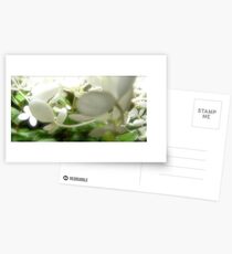 Fairy Land Night Scapes- Fairy Snow Ball Postcards