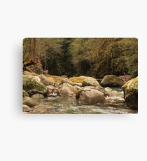 Goodell Creek #2 Leinwanddruck
